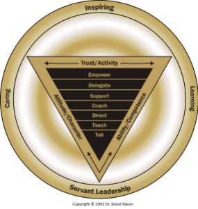 Dyson Empowerment Model Gold